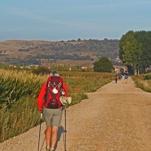 Jakobsweg Camino Frances ab Sarria